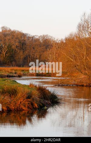 Waverley Lane, Elstead. 25.. Februar 2022. Ein kalter, aber trockener Start in den Tag für die Heimatkreise. Morgenlicht am Fluss Wey bei Thundry Meadows in Elstead, in der Nähe von Godalming, in Surrey. Kredit: james jagger/Alamy Live Nachrichten Stockfoto