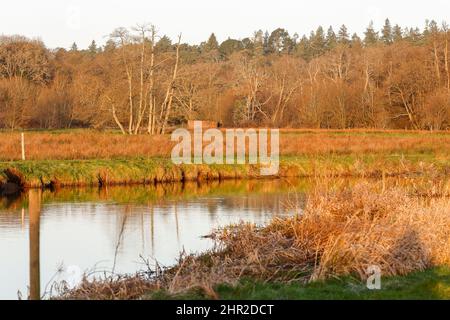 Waverley Lane, Elstead. 25.. Februar 2022. Ein kalter, aber trockener Start in den Tag für die Heimatkreise. Morgenlicht am Fluss Wey bei Thundry Meadows in Elstead, in der Nähe von Godalming, in Surrey. Kredit: james jagger/Alamy Live Nachrichten Stockfoto