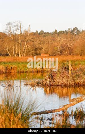 Waverley Lane, Elstead. 25.. Februar 2022. Ein kalter, aber trockener Start in den Tag für die Heimatkreise. Morgenlicht am Fluss Wey bei Thundry Meadows in Elstead, in der Nähe von Godalming, in Surrey. Kredit: james jagger/Alamy Live Nachrichten Stockfoto