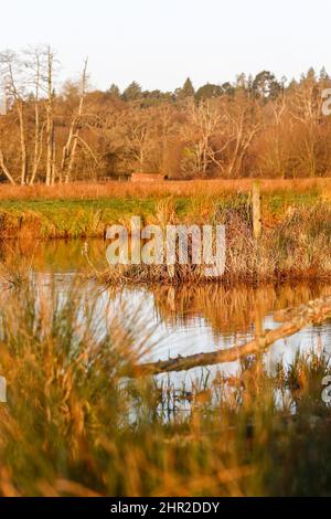 Waverley Lane, Elstead. 25.. Februar 2022. Ein kalter, aber trockener Start in den Tag für die Heimatkreise. Morgenlicht am Fluss Wey bei Thundry Meadows in Elstead, in der Nähe von Godalming, in Surrey. Kredit: james jagger/Alamy Live Nachrichten Stockfoto