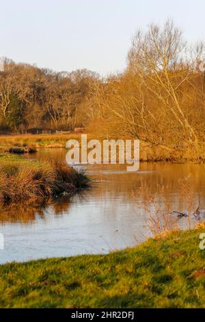 Waverley Lane, Elstead. 25.. Februar 2022. Ein kalter, aber trockener Start in den Tag für die Heimatkreise. Morgenlicht am Fluss Wey bei Thundry Meadows in Elstead, in der Nähe von Godalming, in Surrey. Kredit: james jagger/Alamy Live Nachrichten Stockfoto