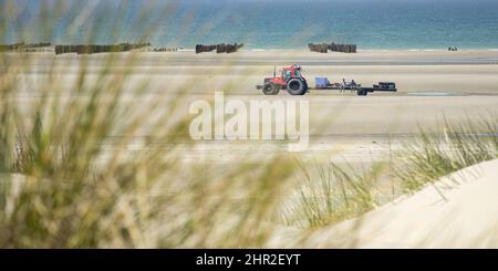 Les moules de bouchots entre le Crotoy et Quend Plage, les Dunes et les oyas en Bord de mer Stockfoto