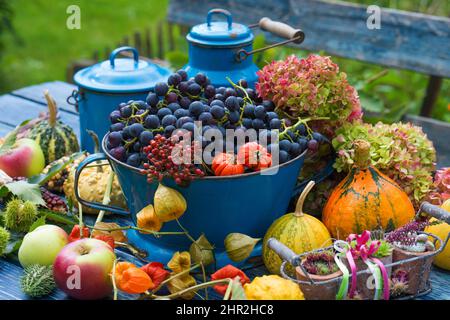 Bunte Herbstfrüchte auf einem Holzgartentisch Stockfoto