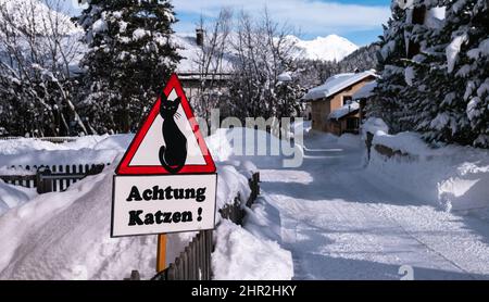 Cinuos-Chel, Schweiz - 3. Februar 2022: Verkehrsschild mit dem Bild einer Katze und der deutschen Inschrift in der Übersetzung: Pass auf Katzen auf! Stockfoto