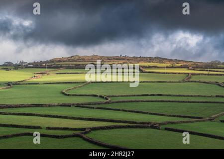 Traditionelle kornische Hecken auf Ackerland am Bodmin Moor in Cornwall. Stockfoto