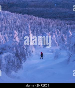 Winterwunderland in Lappland. Winterurlaub im Winterwunderland. Winterlandschaft Sonnenuntergang. Stockfoto
