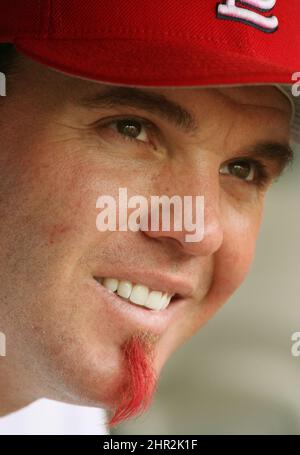 St. Louis, USA. 30. September 2006. Scott Spiezio von den St. Louis Cardinals und sein Spitzel auf der Bank vor seinen spätentinnenden Heldinnen mit einem dreifachen Run-Scoring im achten Inning gegen die Milwaukee Brewers im Busch Stadium in St. Louis, Missouri, Samstag, 30. September 2006. (Foto von Chris Lee/St. Louis Post-Dispatch/TNS/Sipa USA) Credit: SIPA USA/Alamy Live News Stockfoto