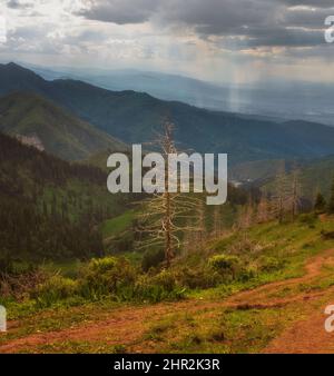 Herbstlandschaft des Waldes im Bergtal bei Almaty, Kasachstan Stockfoto