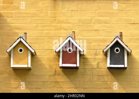 Drei Vogelnistkästen in verschiedenen Farben, die an einer gelben Hauswand hängen Stockfoto