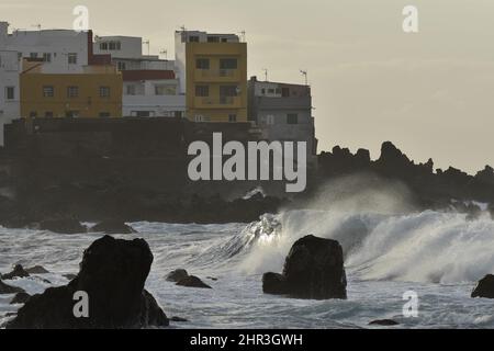 Große Wellen nähern sich der Vulkanküste in der Nähe von Punta Brava am Abend, Teneriffa Kanarische Inseln Spanien. Stockfoto