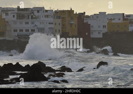 Große Wellen nähern sich der Vulkanküste in der Nähe von Punta Brava am Abend, Teneriffa Kanarische Inseln Spanien. Stockfoto