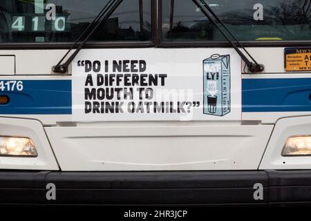Eine witzige, witzige, respektlos erscheinende Oatly Hafermilch-Anzeige auf der Vorderseite eines New York City-Busses in Queens New York City. Stockfoto