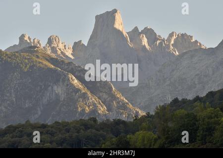 Naranjo de Bulnes (PICU Urriellu) Kalkstein Gipfel am Abend, Picos de Europa Nationalpark Asturien Spanien. Stockfoto