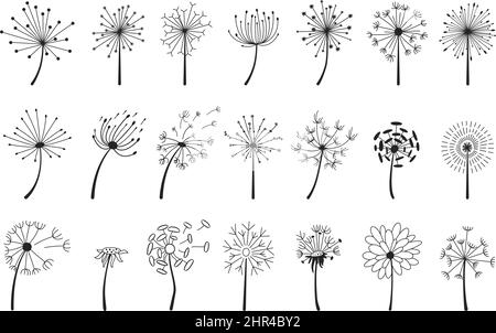 Handgezogener Dandelion mit fliegenden Samen, Dandelionblütenköpfe. Abstrakte Blowball Blumen Doodle Silhouette, Frühlingsblüten Vektor-Set. Abbildung Stock Vektor