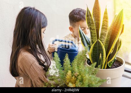 Verbindung mit der Natur.kleiner Junge und Mädchen fürsorgliche Blumen. Aktive Vorschulkinder Pflanzen auf dem Balkon zu Hause bewässern. Nachhaltiger Lebensstil, umweltfreundlich, Biophilie-Design-Konzept. Stockfoto