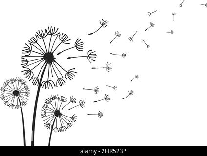 Dandelionen mit fliegenden Samen, flauschige Dandelionblüten-Silhouetten. Frühling Saison blühenden Blowball Blumen doodles Vektor-Illustration. Dandelionenfluf Stock Vektor