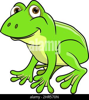 Fanny Cartoon Frosch mit niedlichen Augen suchen, lächeln und sitzen. Vektorgrafik isoliert auf weißem Hintergrund für Cartoon-Requisiten und Naturlandschaft Stock Vektor