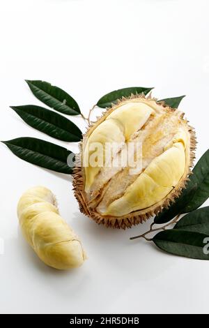 Durian Monthong König der Früchte aus Thailand, auf weißem Hintergrund Stockfoto