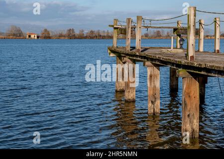 Eine hölzerne Anlegestelle am See von Gherardesca, Lucca, Italien Stockfoto
