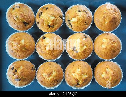 Blick von oben auf süße Muffins mit Schokoladenstückchen Stockfoto