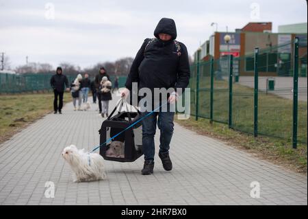 Medyka, Warschau, Polen. 25.. Februar 2022. Am 25. Februar 2022 überquert ein Mann mit seinen Hunden die polnische Grenze in der Ukraine in Medyka, Polen. Tausende von Menschen, die vor dem Krieg in der Ukraine fliehen, überqueren die Grenze zu Polen, Rumänien, Ungarn und der Slowakei, während das russische Militär den Angriff auf die Hauptstadt Kiew fortsetzt. Meist warten Frauen und Kinder stundenlang an überlasteten Grenzübergängen bei eisigen Temperaturen, nachdem die Ukraine die Durchreise für Männer zwischen 18 und 60 Jahren eingeschränkt hat. (Bild: © Aleksander Kalka/ZUMA Press Wire) Stockfoto