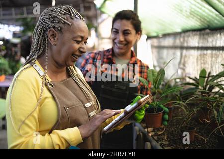 Glückliche weibliche Gärtnerinnen arbeiten zusammen in Pflanzen und Blumen Shop Stockfoto