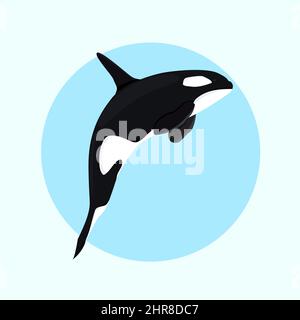 Killerwal, Orca flaches Design Stock Vektor