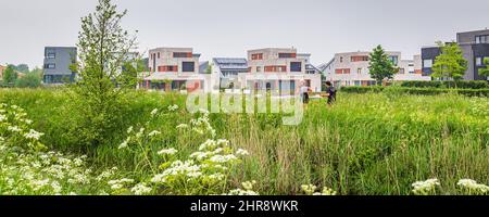 Tynaarlo, Niederlande - Neu gebaute Häuser in einem familienfreundlichen, modernen Vorort-Viertel in Eelderwolde in Tynaarlo Drenthe in den Niederlanden Stockfoto