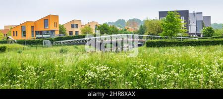 Tynaarlo, Niederlande - Neu gebaute Häuser in einem familienfreundlichen, modernen Vorort-Viertel in Eelderwolde in Tynaarlo Drenthe in den Niederlanden Stockfoto