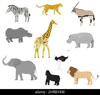 Set mit afrikanischen Wildtieren. Flacher Style. Giraffe, Elefant, Nilpferd, Nashorn, Zebra, Affe, Orang-Utan, Antilope, Gepard, Löwe, leopard, Strauß. Stock Vektor