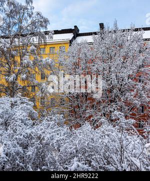 Schnee auf Bäumen im Katri Vala Park, Helsinki, Finnland. Mittelhohes Wohngebäude im Hintergrund. Stockfoto