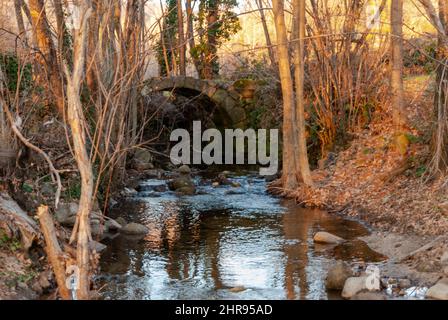 Kleine alte Steinbrücke mit Moos im Wald im Winter mit wenig Wasser Stockfoto