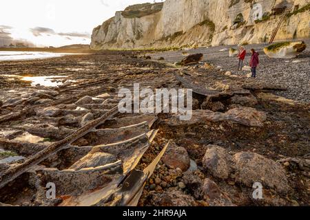 Das Wrack der SS Falcon, im Besitz der General Steam Navigation Company in Langdon Bay bei Dover Kent Stockfoto