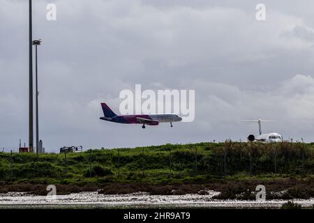 Larnaca, Zypern. 25.. Februar 2022. Ein Flugzeug von Wizz Airlines landet am 25. Februar 2022 auf dem Internationalen Flughafen Larnaca, Larnaca, Zypern. Aufgrund der russischen Invasion in der Ukraine wurden unter anderem alle Flüge von Kiew nach Larnaka gestrichen. (Foto von Kostas Pikoulas/Sipa USA) Quelle: SIPA USA/Alamy Live News Stockfoto