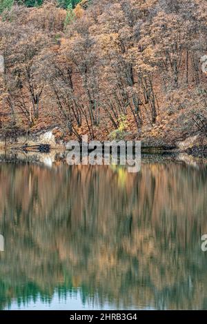 Herbstliches Laub spiegelte sich im Britton Lake im McArthur Burney Falls Memorial State Park, Kalifornien, USA Stockfoto