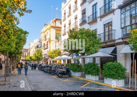 Eine typische andalusische Straße, die von Orangenbäumen gesäumt ist, neben der Kathedrale im Stadtteil Santa Cruz von Sevilla, Spanien. Stockfoto