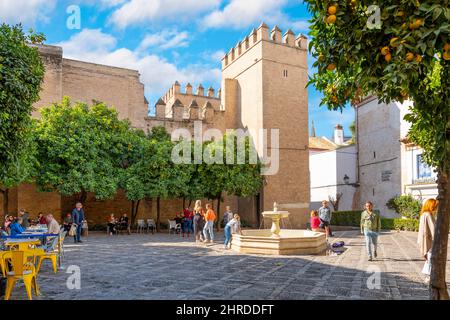 Touristen genießen die Plaza de la Alianza vor dem Royal Alcazar im Viertel Santa Cruz von Sevilla, Spanien. Stockfoto