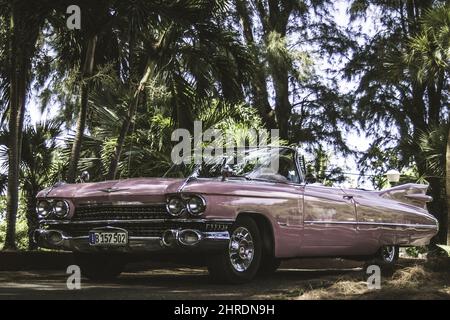 Oldtimer Cadillac Eldorado Biarritz in der Nähe eines Waldes Stockfoto