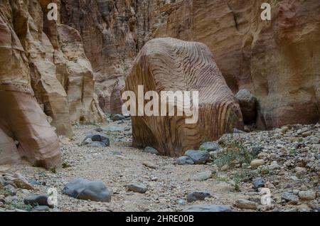 Faszinierender Blick auf das Wadi Ghuweir im Dana Biosphärenreservat, Jordanien Stockfoto