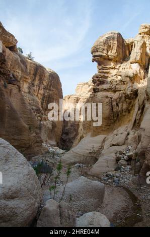 Faszinierender Blick auf das Wadi Ghuweir im Dana Biosphärenreservat, Jordanien Stockfoto