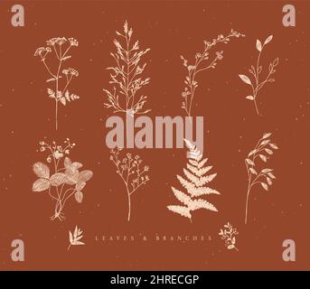 Set von Blättern und Zweigen floralen Stil Zeichnung in beige Farbe auf braunem Hintergrund Stock Vektor