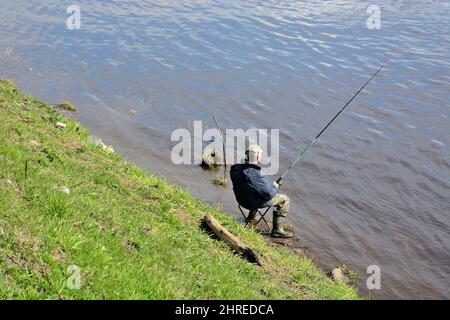 VOLKHOV, RUSSLAND - 08. MAI 2017: Ein Fischer fängt einen Fisch namens sopa (blaue Brasse) auf dem Fluss Volkhov, Russland, Staraya Ladoga. Frühjahrssaison Stockfoto