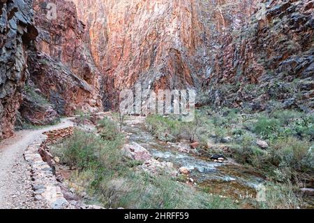 Der North Kaibab Trail schlängelt sich unter den Klippen des Grand Canyon entlang des hellen Angel Creek Stockfoto