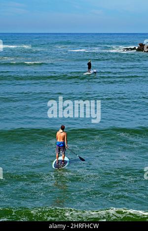 Männer paddeln auf dem Meer, Barra da Tijuca, Rio Stockfoto