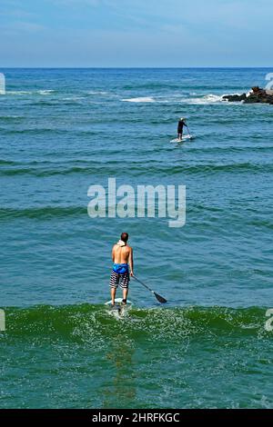 Männer paddeln auf dem Meer, Barra da Tijuca, Rio Stockfoto