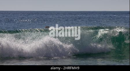 Bodyboarding in Surf, Cornwall. In Kynance Cove. Ein Fuß ist sichtbar, während der Rand in der Welle auswischt. Stockfoto