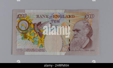 10 Pfund Banknote aus Großbritannien mit Bild von Charles Darwin auf der Rückseite Stockfoto