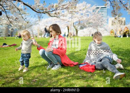 Niedliches Kleinkind Junge und seine großen Schwestern spielen in blühenden Kirschbaumgarten an schönen Frühlingstag. Entzückendes Baby, das Spaß im Freien hat. Kinder erkunden Stockfoto