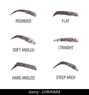 Weibliche Augenbrauen. Verschiedene Formen und Typen. Bogenbrauen Formen. Linearer Vektor Illustration im trendigen minimalistischen Stil. Logo mit Stirnleiste Stock Vektor