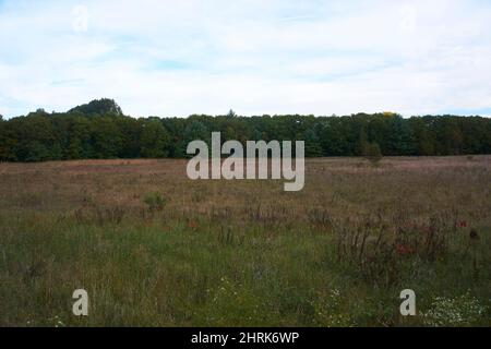 Roche Ist Ein CRI State Park in Friendship, Wisconsin, USA. Stockfoto